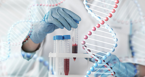 Генетические тесты для здоровья и жизни